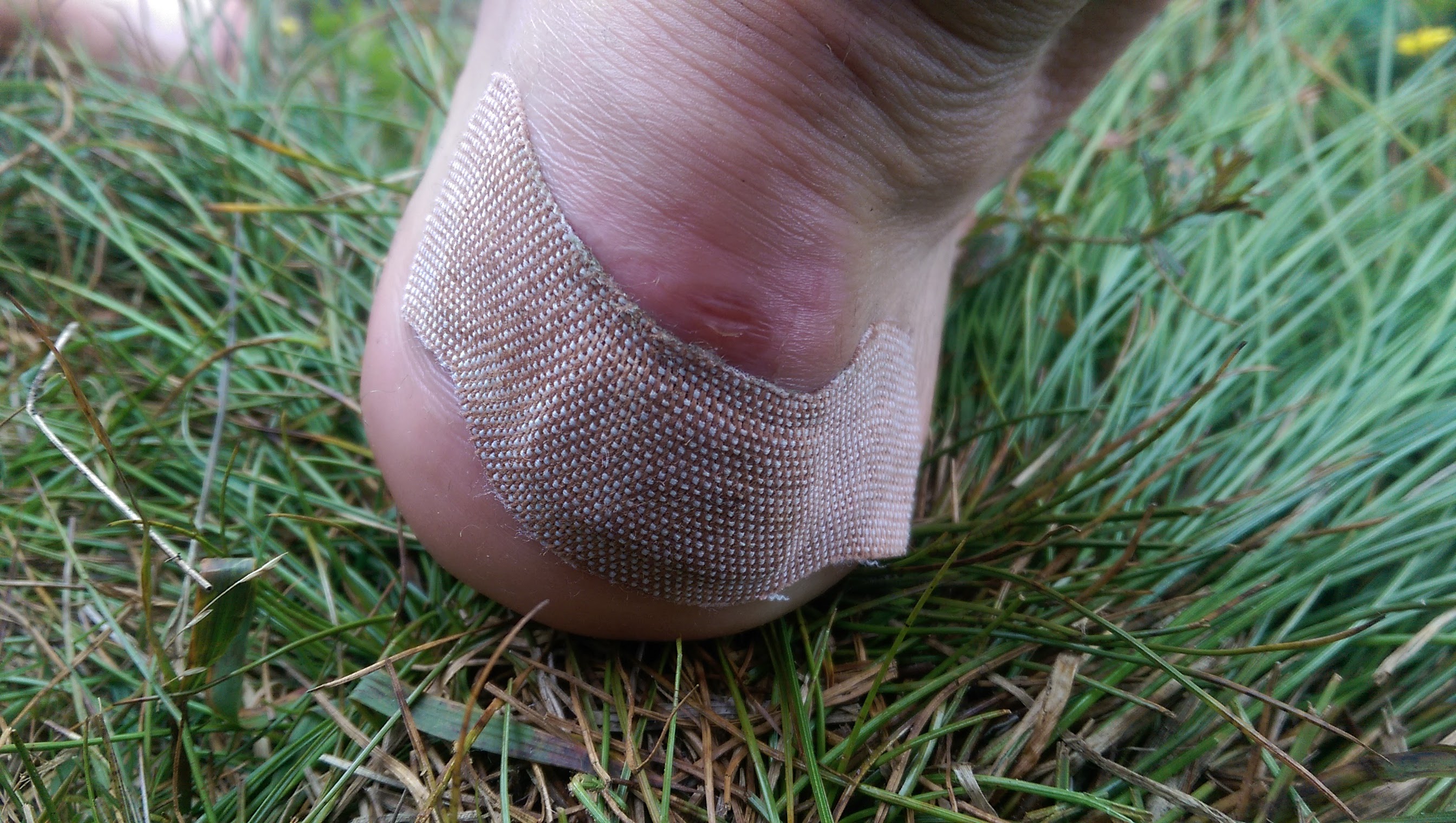 StrongStrip