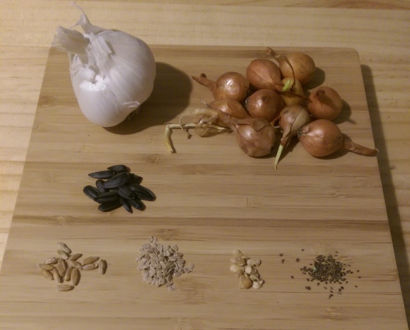 The Seeds