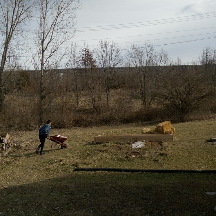 Hauling soil